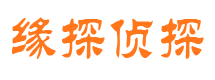 龙湖侦探公司